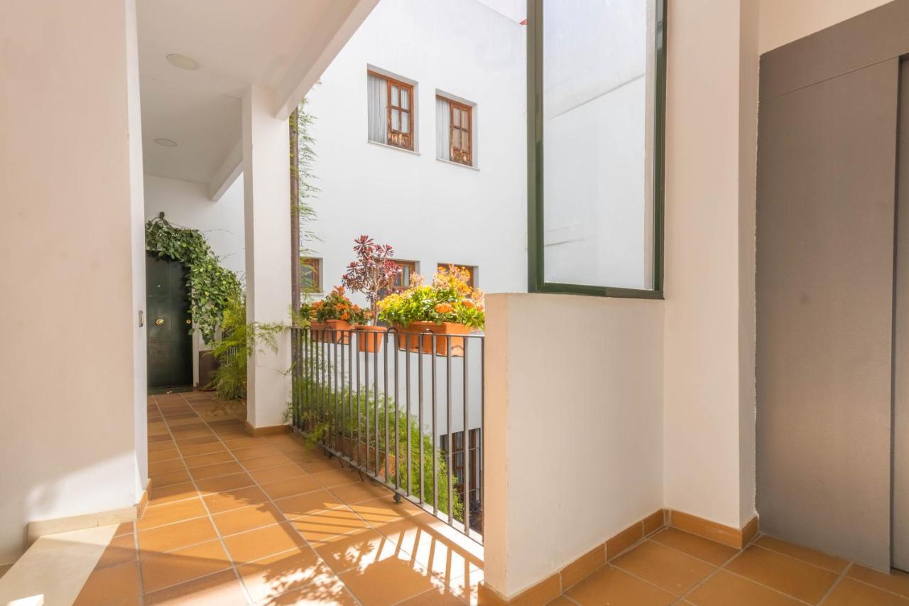 Apartamento Anais Centro Sevilla Экстерьер фото